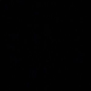 Meet your Posher, Skye